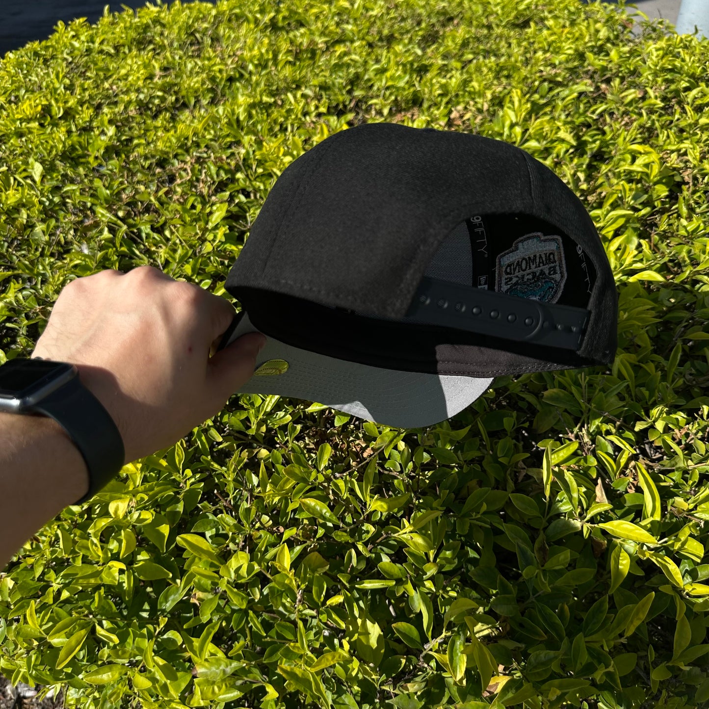 ARIZONA DIAMONDBACKS