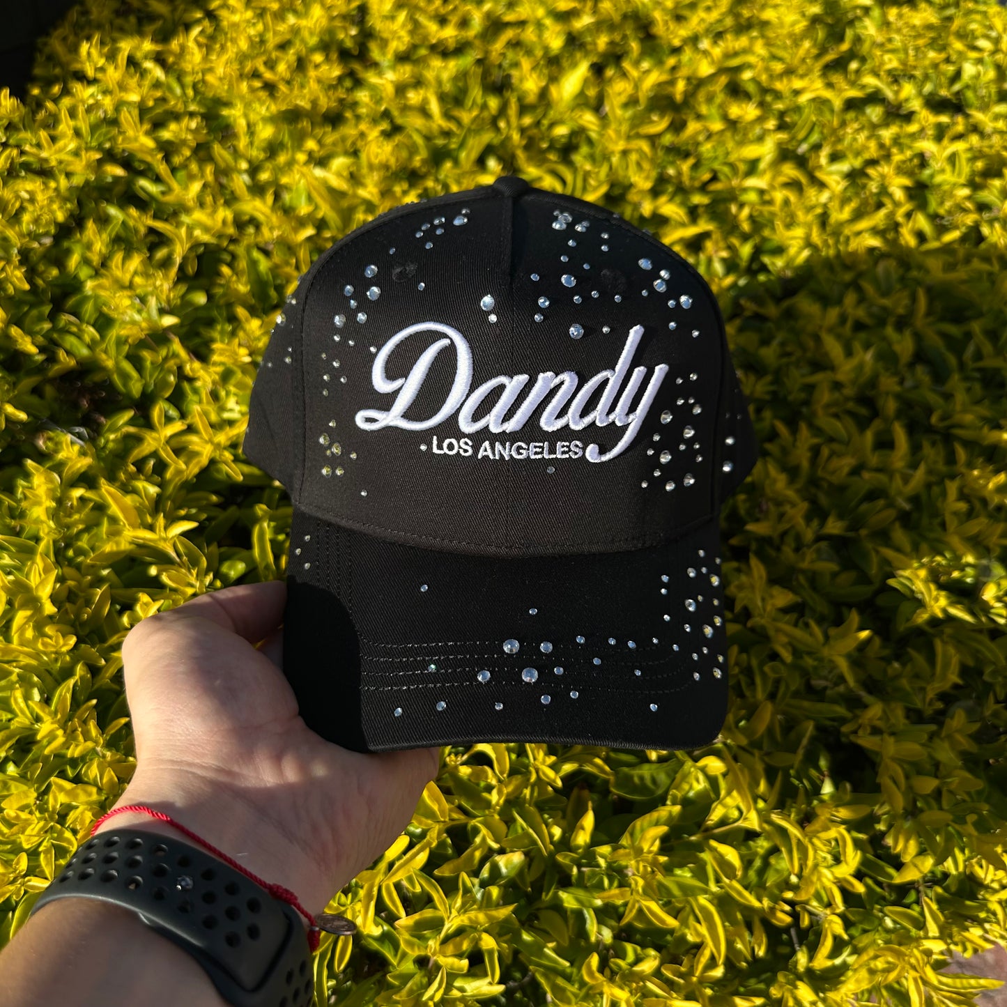 DANDY STARGAZING
